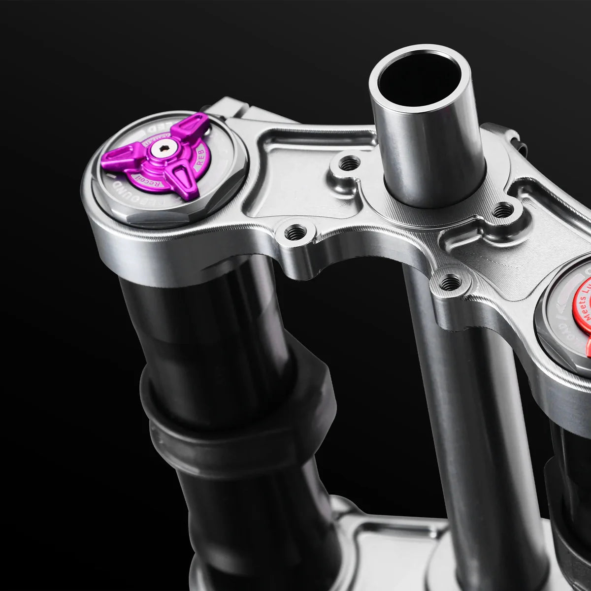 RFloXa Hawk32 Emoto Fork